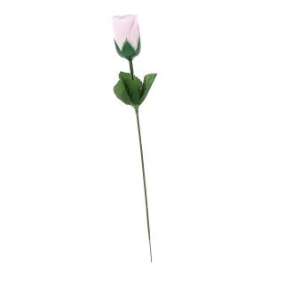 Rose de savon Rose-Fuchsia-Rouge