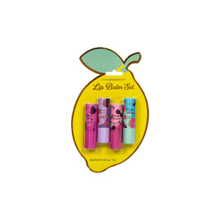 PROMO Coffret 4 baumes lèvres FEELING FRUITY, 4 senteurs