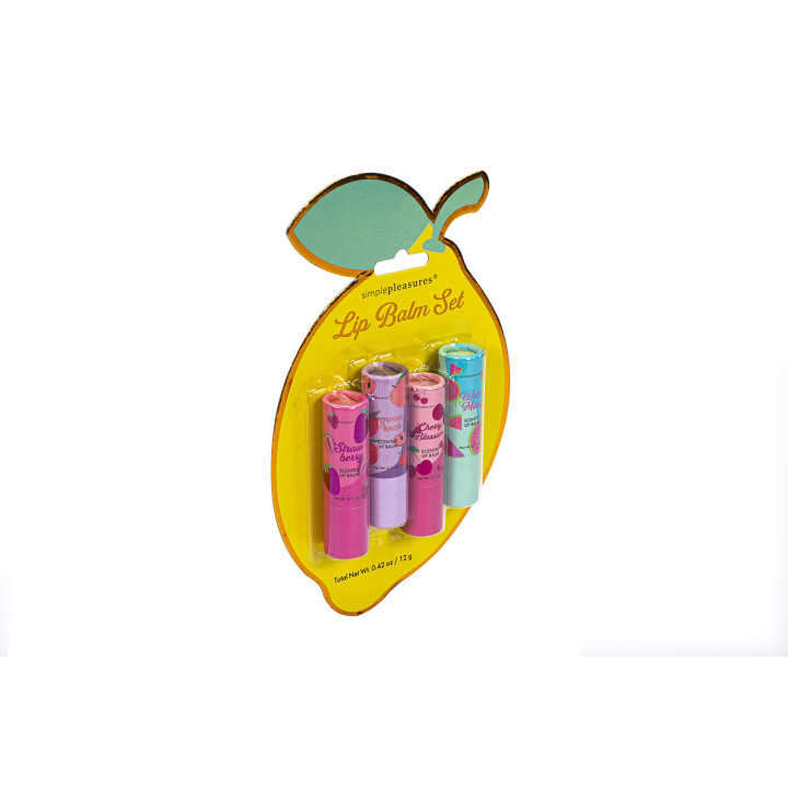 PROMO Coffret 4 baumes lèvres FEELING FRUITY, 4 senteurs