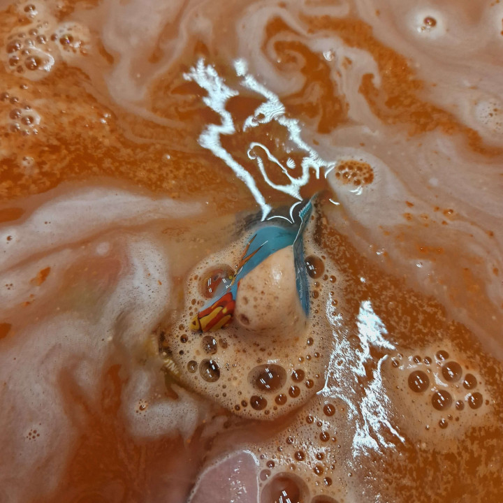 Volcan pour le bain  DINOPARK ADVENTURE