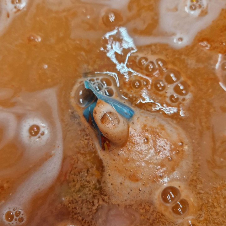 Volcan pour le bain  DINOPARK ADVENTURE