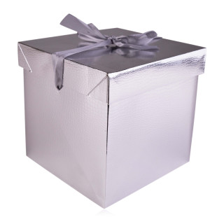 Boite en carton vide Argent (22x22x22 cm)