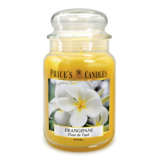 Bougie large (19.5x10cm) FRANGIPANI