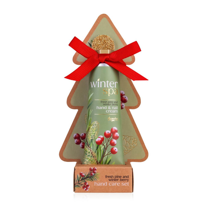 Coffret pour les ongles WINTER SPA