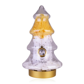 Coffret pour le corps WINTER GLAMOUR